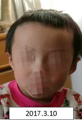 插骚逼逼视频免费视频